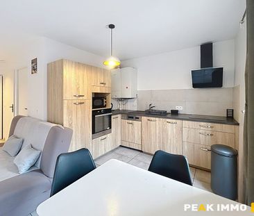 Location Appartement 1 pièce 38m² ANNEMASSE 74100 - Photo 3