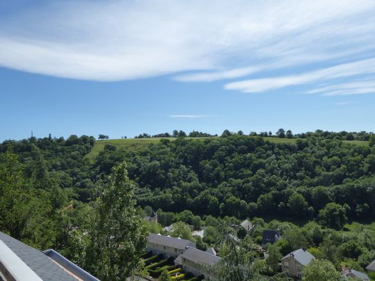 Location Appartement 2 pièces 53m² - Photo 1