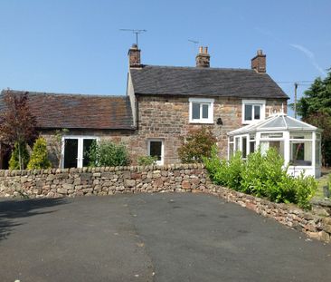3 bedroom detached to let - Photo 5