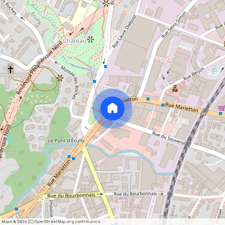 101 Rue Marietton, 69009 Lyon
