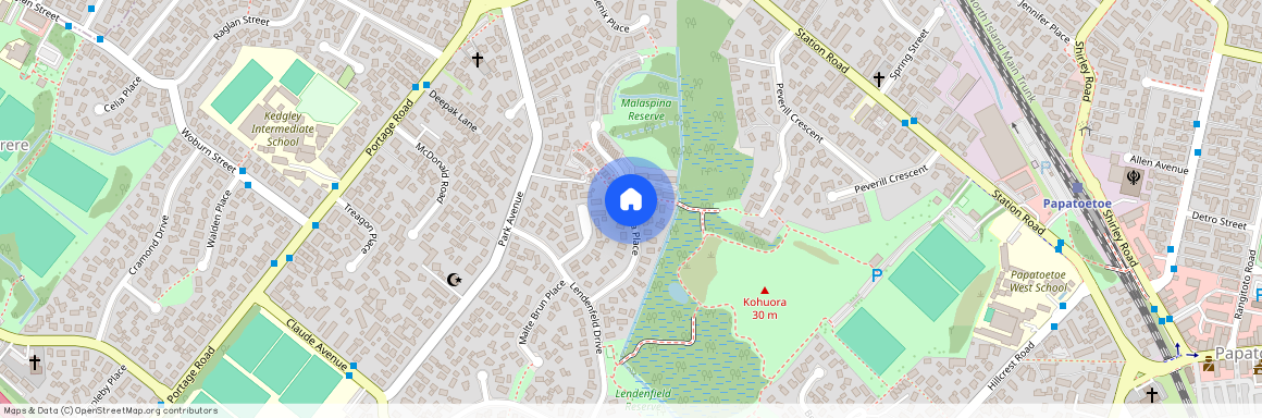 Malaspina Place, Papatoetoe, Manukau City