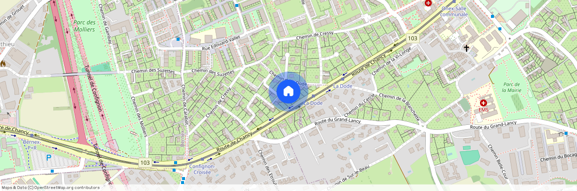 Ch. de La Dode 13, 1232 Confignon