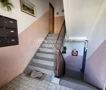 Pronájem, byt 2+1+B, ul. Stromořadí, Dobřany - Photo 2