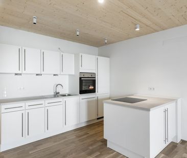 Holz-Hybridbau | Garten | Balkon - Photo 5