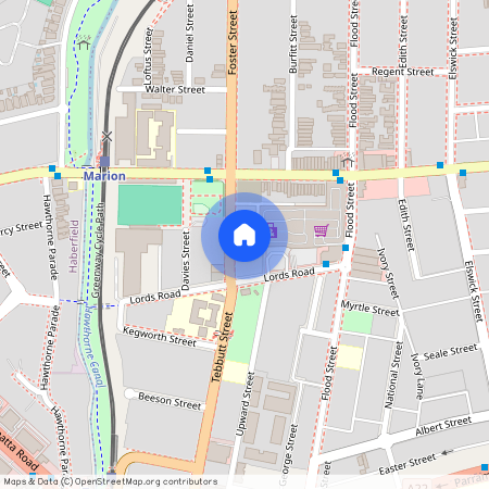 7 Foster Street, NSW 2040, Leichhardt