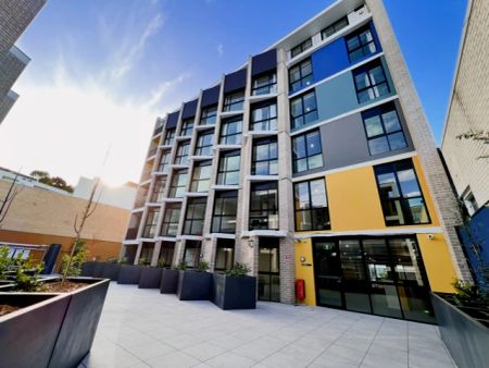 219 Maroubra Rd Studio, Sydney - Photo 5