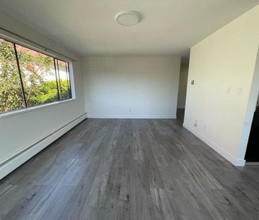 Newly Renovated Second Floor 1 Bedroom Apartment - Photo 4