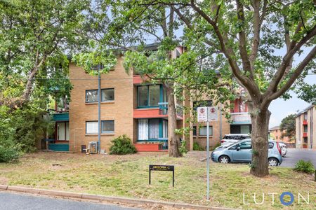 11C/6 Irvine Street, Watson ACT 2602 - Apartment For Rent | Domain - Photo 5