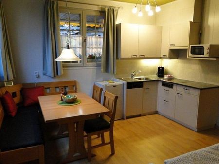 1-ROOM APARTMENT IN OBERGÖSGEN (DIM), FURNISHED - Photo 4