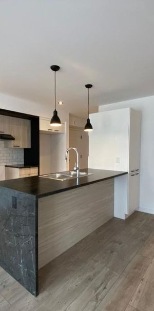 Logement 5 1/2 - Avril 2026 - Photo 1