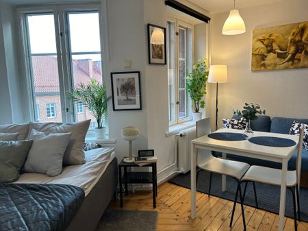 Mäster Danielsgatan, Malmö - Photo 4