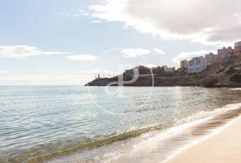 Cullera