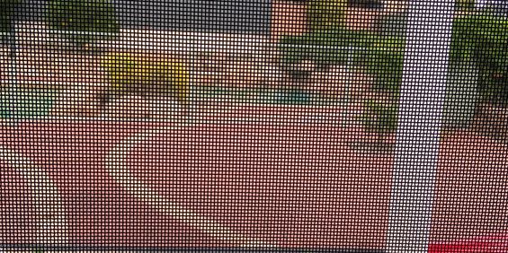 Mount Pleasant - Photo 3