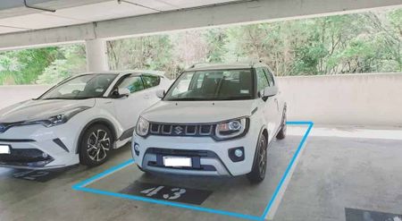 Modern 1-Bedroom Apartment in the Heart of Albany - Photo 4