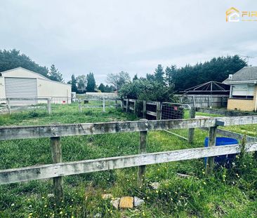 Exceptional 5.2-Acre Lifestyle & Equestrian Property in Lovely Banks - Photo 3