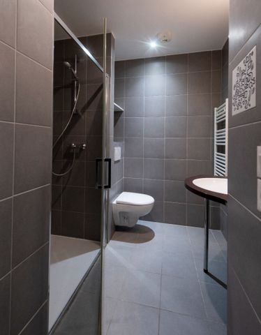 Location Appartement 1 pièce 17m² - Photo 4