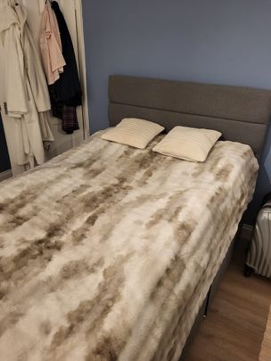 Room in a Shared House, Bevendean Crescent, BN2 - Photo 1