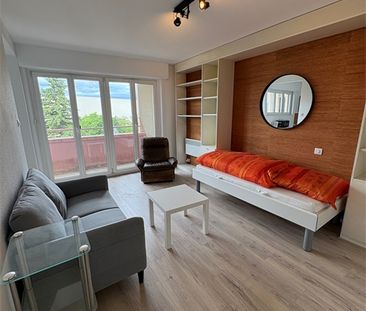Location Appartement 1 pièce 31m² - Photo 1