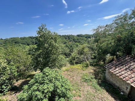 Location Appartement 2 pièces 37m² LAROQUE TIMBAUT 47340 - Photo 5