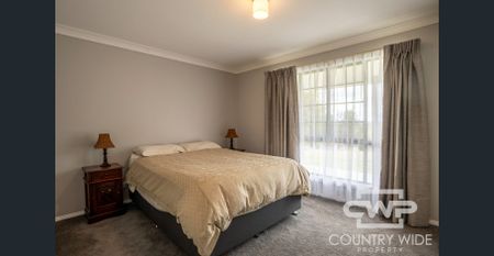 Your Dream Rural Rental Retreat Awaits - Photo 5