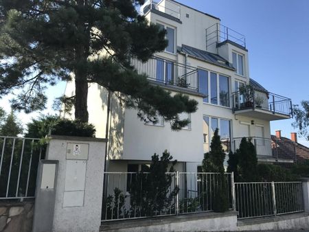 TRAUM GARTEN 5 Zi Wohnung inkl. 1 TG Platz - 3 Bedroom Garden Apartment + 1 Parking spot - Foto 5