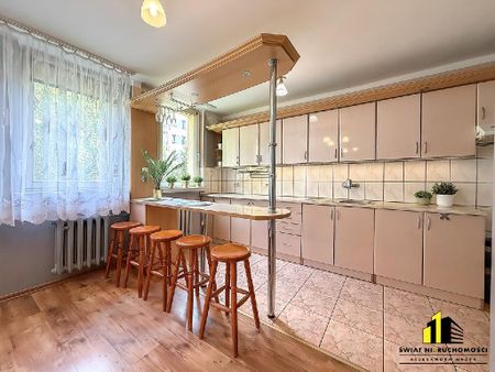 700-Lecia, Żywiec - Фото 3