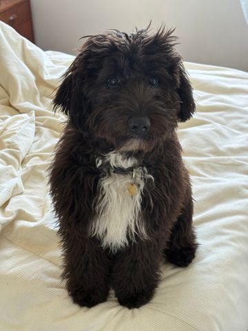 North Lambton - Photo 2