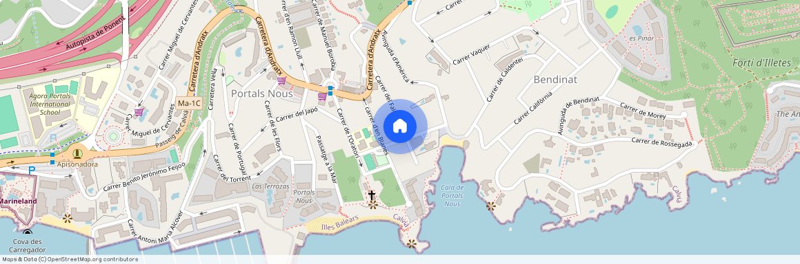 14 Carrer Falconer, Portals Nous, Balearic Islands 07150, Portals-Nous