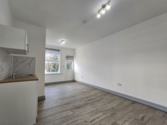 Studio Flat, Mount Pleasant Road, N17 - Photo 1