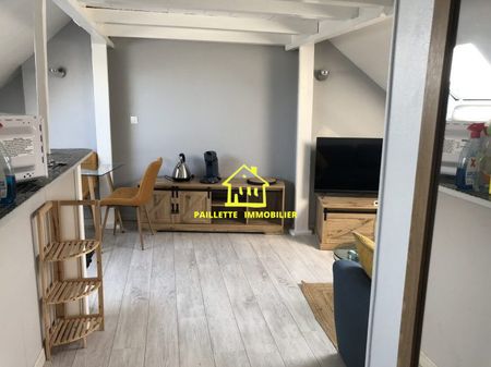 appartement meublé entièrement refait à neuf - Photo 4