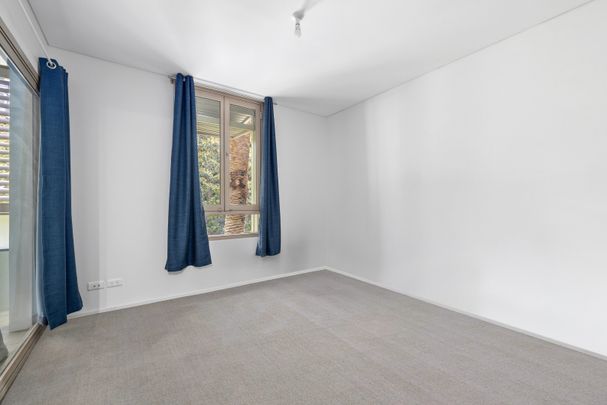 2204/4 Sterling Circuit, Camperdown NSW 2050 - Apartment For Rent | Domain - Photo 1