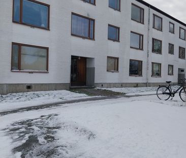 Ekbacken, Asarum - Foto 5
