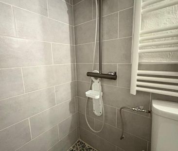 Location Appartement 1 pièce Meublé 13m² NICE 06000 - Photo 4
