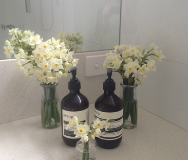 Unit 5, 8 Alicia Street, Hampton, VIC - Photo 6