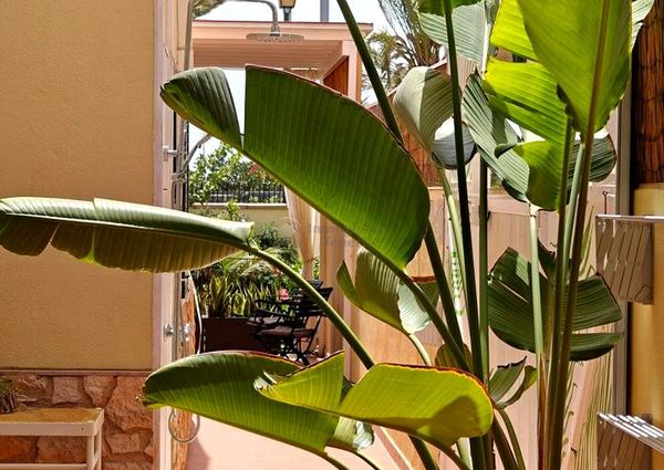 For Rental: 2-Bedroom Semi-Detached House in Las Rosas