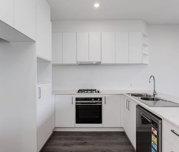 15 Alma Terrace, Seaton – Modern, Brand New Living - Photo 5