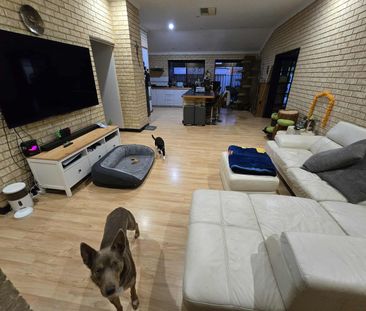 Jane Brook - Photo 2