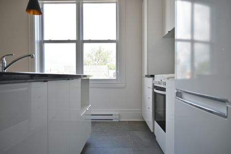 Appartement à louer, Montréal (Ville-Marie) - Photo 2