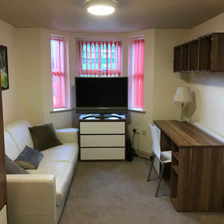 Deluxe Studio - Photo 1