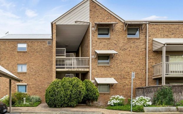 Spacious Ground Floor Unit - Photo 1