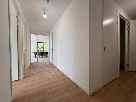 Roerdomplaan 59, Hornmeer, 1431WH, Aalsmeer - Photo 5