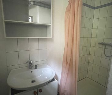 Location Appartement 1 pièce 18m² - Photo 4
