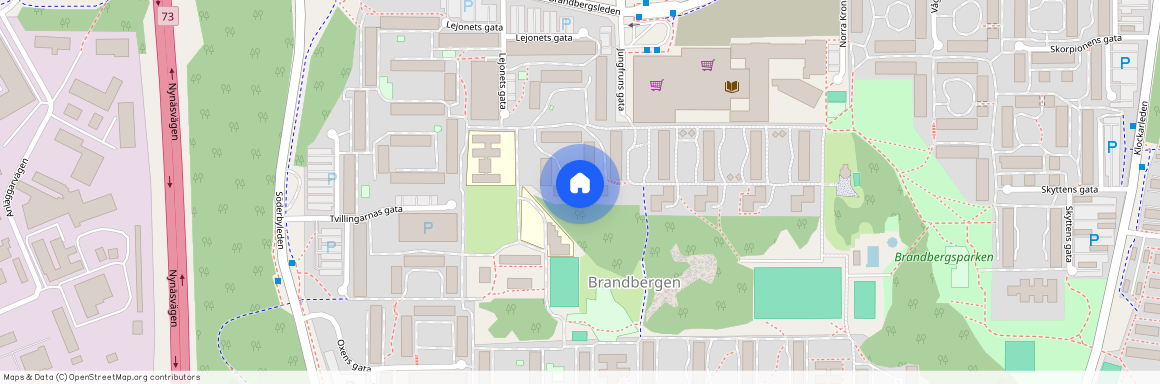 Lejonets Gata 363, Brandbergen