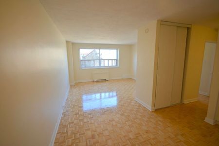 Perfectly Located in Centretown Ottawa - Central AC included in the price of rent - Photo 5