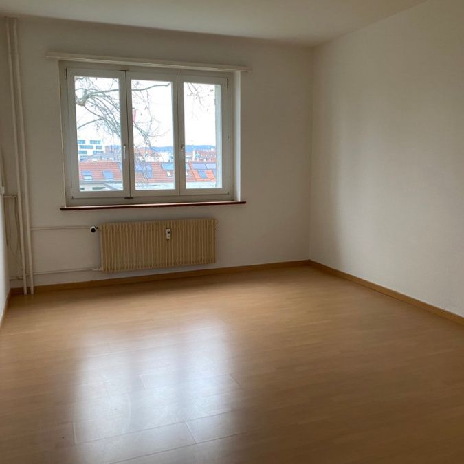 Grossbasel MFH Flughafenstrasse - Foto 1