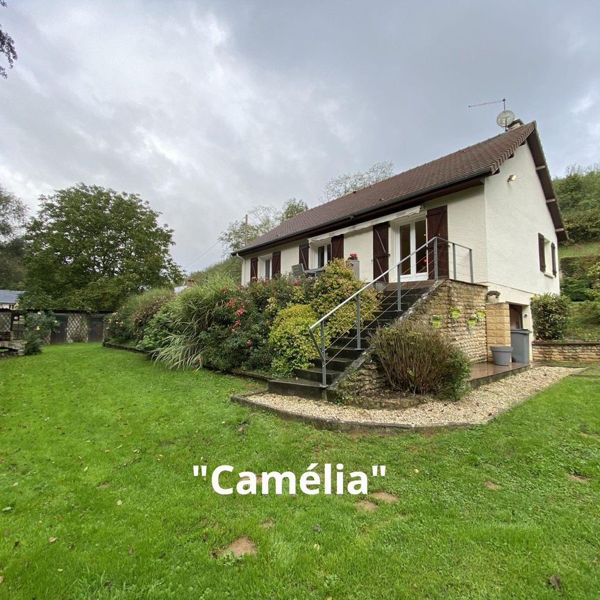 "Camélia" maison superbe environnement - Photo 1