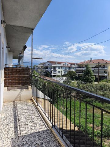 Διαμέρισμα για ενοικίαση Βρυσούλα (Ιωάννινα) - Photo 5