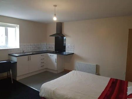 Deluxe Studio - Photo 4