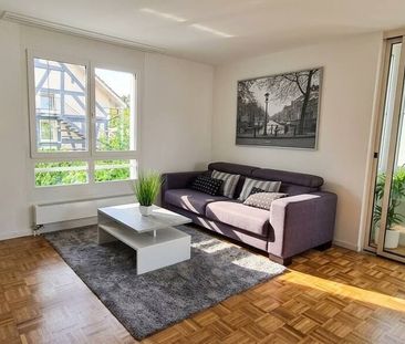 31/2 ROOM APARTMENT IN LANGWIESEN (ZH), FURNISHED, TEMPORARY - Foto 1