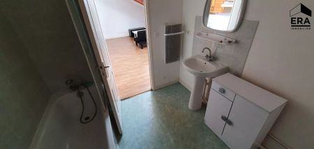 Appartement A LOUER MEUBLE Clermont-ferrand - Secteur des Carmes / Delille / République - Photo 3